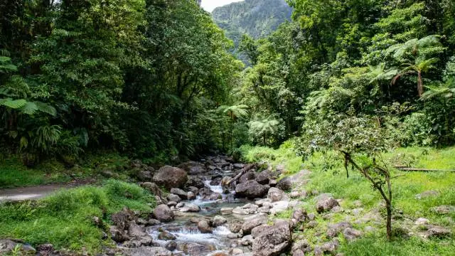 Alma River Martinique