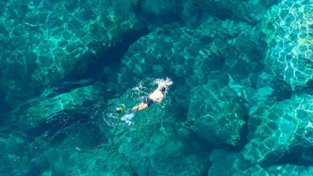 Snorkeling in Martinique