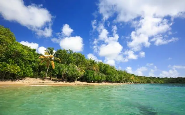 Dein Abenteuer auf Martinique beginnt mit unseren Touren.