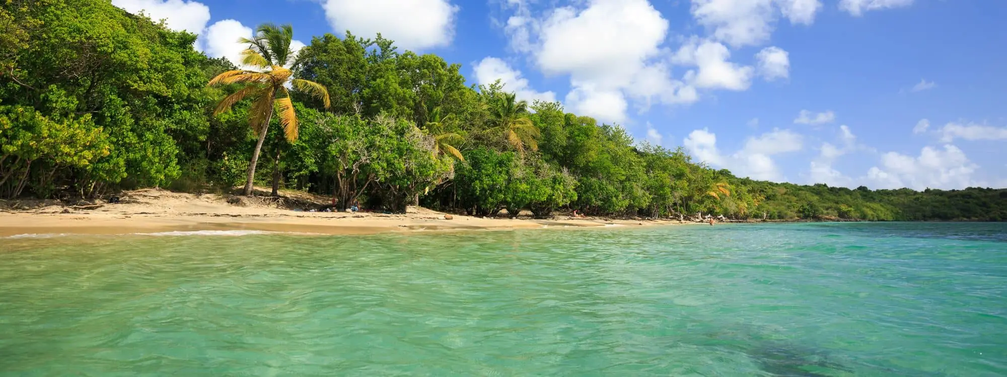 Es geht los mit den Touren auf Martinique