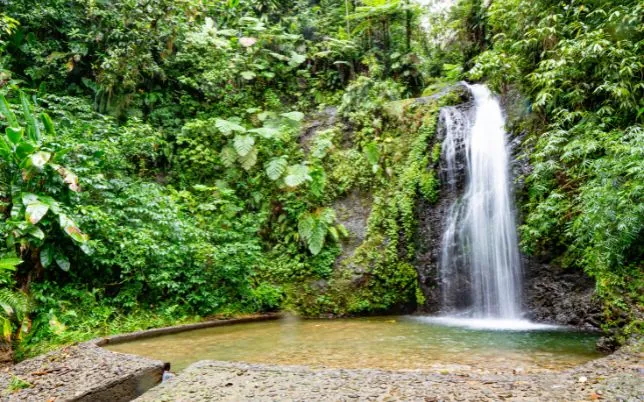 Wasserfall Saut Gendarme Tour 1