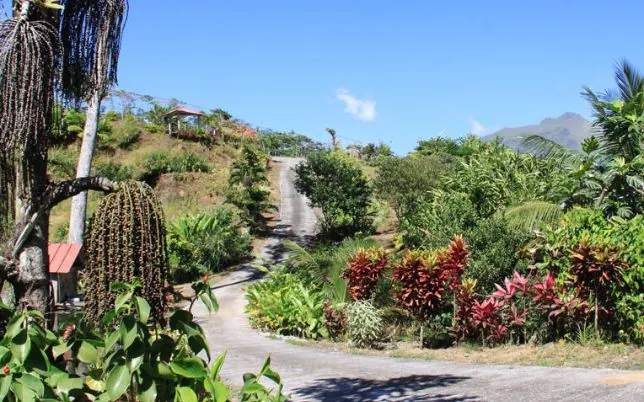 Plantation Beauvallon Tour 1